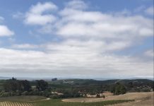 What We’re Reading: 15-Minute Cities, ACUs, and NZ Zoning Reform