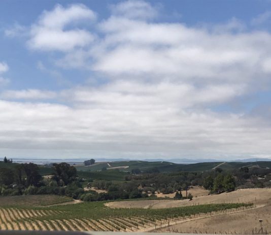 What We’re Reading: 15-Minute Cities, ACUs, and NZ Zoning Reform