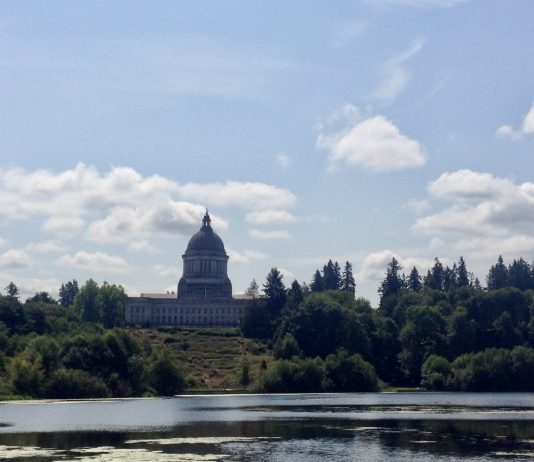 2020 August Primary Election Results: Early Returns