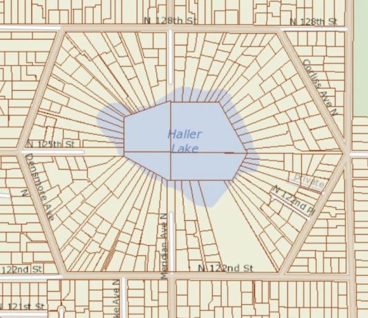 Digital Scavenger Hunt: Bizarre Lots