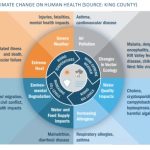 Screen Shot 2020-08-06 at 11.27.39 AM