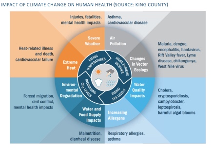 Impact of climate change on human health graphic highlight negative consequences of extreme heat, severe weather, air pollution, changes in disease vector ecology, worsening water quality, increasing allergens, water and food supply, and environmental degradation. (King COunty)