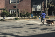 City Council Salvaging Some SDOT Projects from Durkan Cut Heap Pedestrian and dogs use a crosswalk in Sand Point while a convertible driver yields.