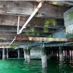 a3dc8be6647426e6f197f3c86088db01