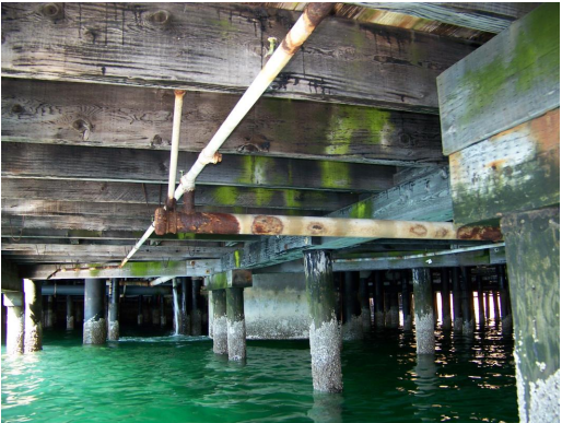 Barnacle covered wooden pilings rise from Elliott Bay with the wooden pier overhead speckled with green mildew.