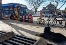SDOT Adds a Bit More Transit Priority in Updated Route 40 and 44 Designs A dog is leashed to a bench next to a busy bike rack and row of newspaper machines as a Route 40 bus approaches.