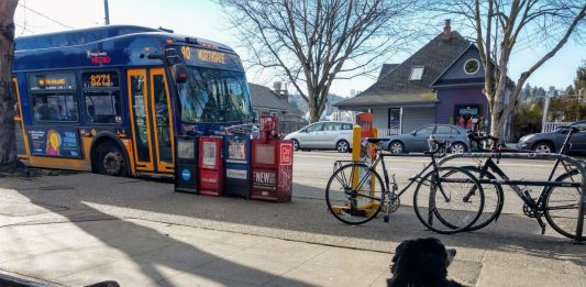 A dog is leashed to a bench next to a busy bike rack and row of newspaper machines as a Route 40 bus approaches.