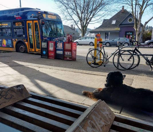 SDOT Adds a Bit More Transit Priority in Updated Route 40 and 44 Designs A dog is leashed to a bench next to a busy bike rack and row of newspaper machines as a Route 40 bus approaches.
