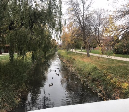 What We’re Reading: PDX BRT, Preserving Affordable Housing, and E-Scooter Crashes