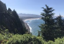 What We’re Reading: Rent Crisis, Still Counting, and Help Needed