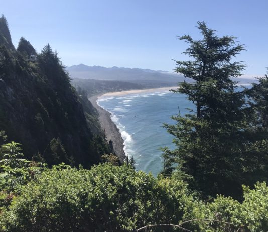 What We’re Reading: Rent Crisis, Still Counting, and Help Needed