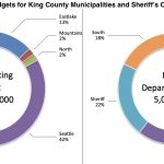 Policing Budget Graph
