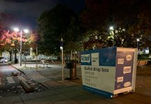 Democracy and Cities