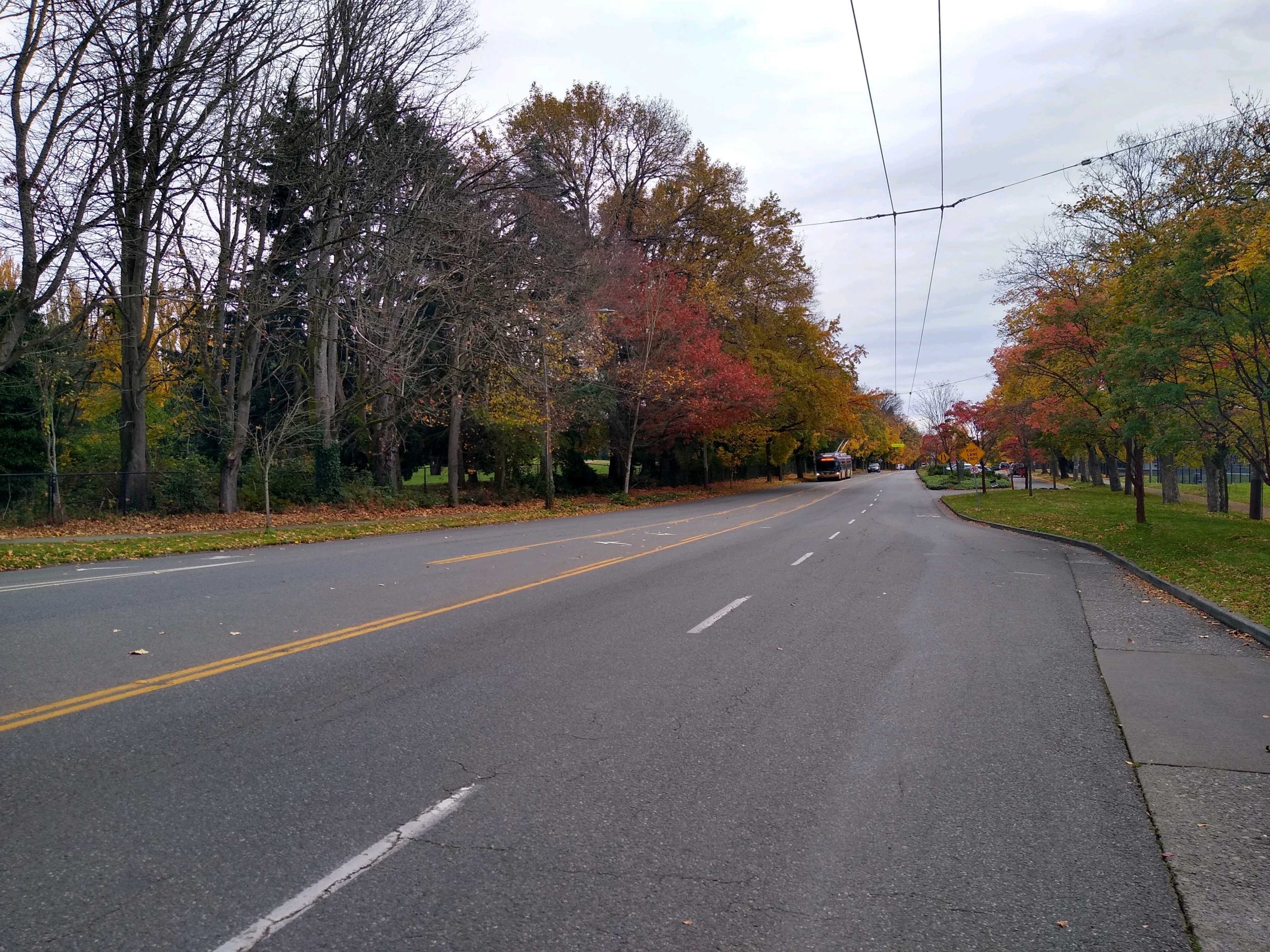 A First Look at the Beacon Hill Safe Bike Route Proposal The Urbanist