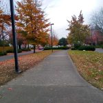 IMG_20201109_133718640_HDR