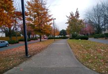 A First Look at the Beacon Hill Safe Bike Route Proposal