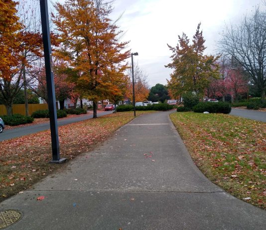 A First Look at the Beacon Hill Safe Bike Route Proposal