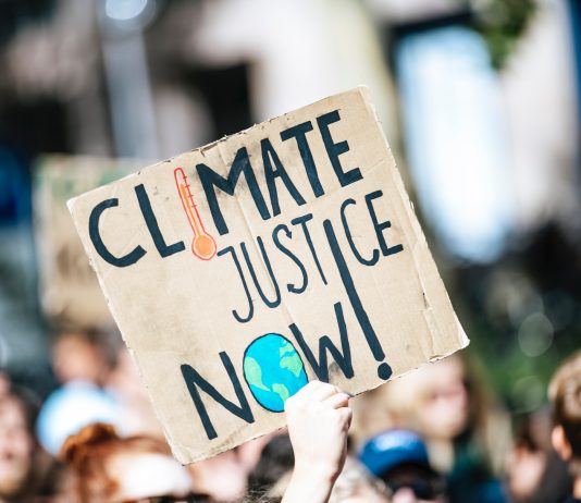 Wonkabout Washington: We’ve Got Their Attention