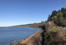 What We’re Reading: Renton’s Misguided Bill, Tony Hsieh’s Legacy, and Develop and Tax