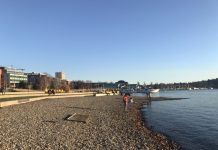 What We’re Reading: Protecting Multifamily Housing, Distracted, and Pierce County Coup Attempt