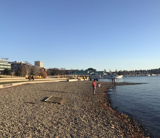 What We’re Reading: Protecting Multifamily Housing, Distracted, and Pierce County Coup Attempt