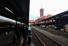 Amtrak Cascades Sets Timeline for Point Defiance Bypass Restart and New Trains