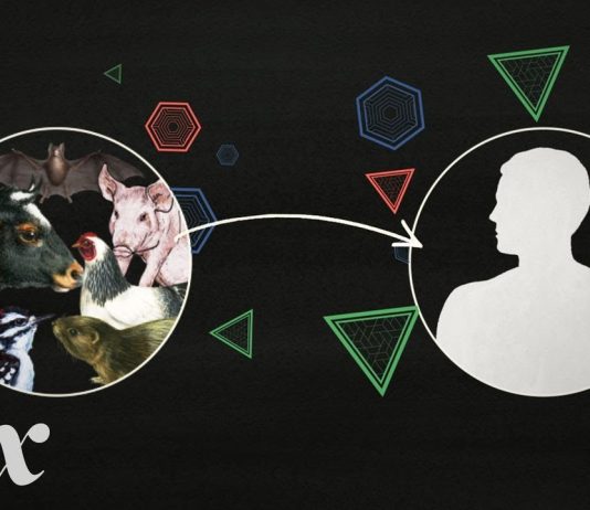 Midweek Video: How Humans Are Making Pandemics More Likely