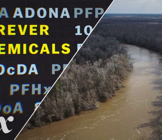Sunday Video: How “Forever Chemicals” Polluted America’s Water