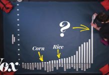 Sunday Video: How Our Food Choices Stack Up In Greenhouse Gas Emissions