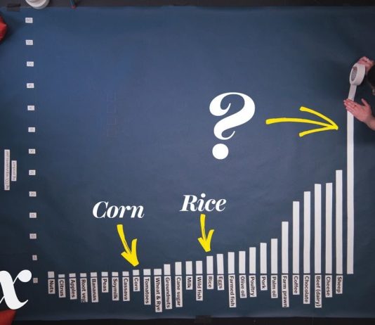 Sunday Video: How Our Food Choices Stack Up In Greenhouse Gas Emissions