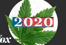 Sunday Video: Marijuana Legalization and Drug Decriminalization Did Well This Year