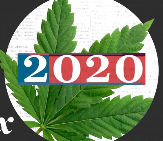 Sunday Video: Marijuana Legalization and Drug Decriminalization Did Well This Year