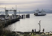 Policy Lab: We Want Bread, and Paid Vacation Too! Folks walk the beach as the Washington State ferry comes in. Cars wait on the dock.
