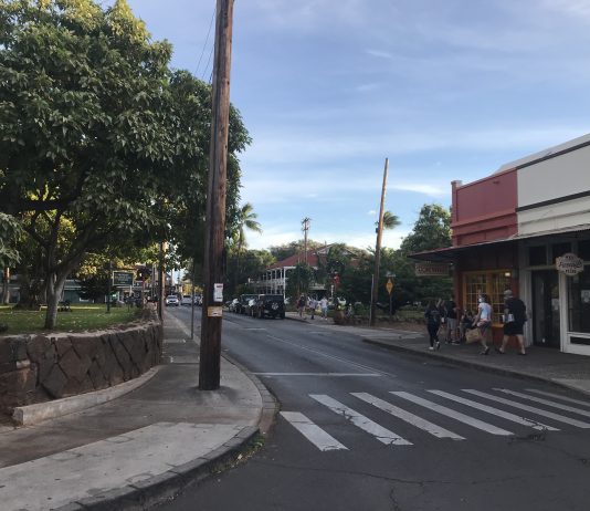 What We’re Reading: Just Peachy, Empty Streets, and Missing Link Saga