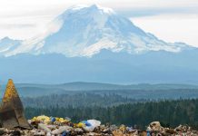 Nuance In My Backyard