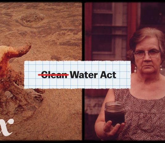 Sunday Video: Why The American West Is Fighting For Water Protections
