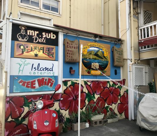 What We’re Reading: Bullet Train, Black Urbanists, and Banking on Density