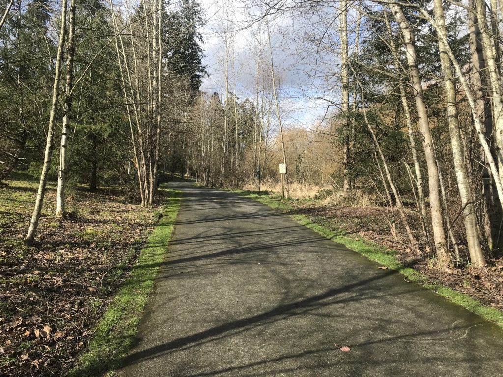 Looking north on the North Creek Trail.