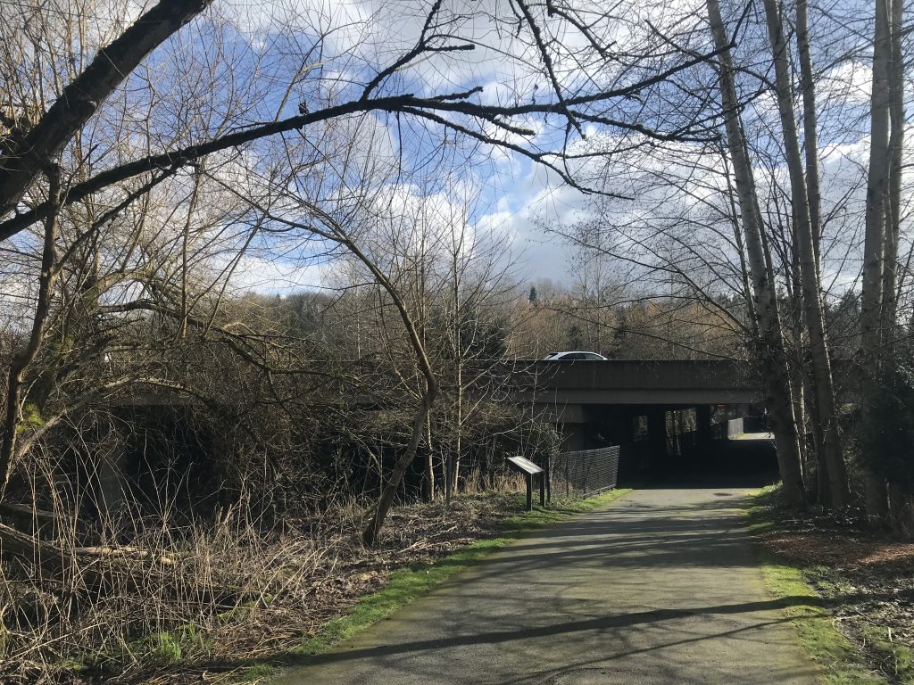 Looks south toward SR-522 on the North Creek Trail.