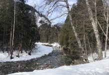 What We’re Reading: Grocery Boom, HSR Act, and Extended Moratorium