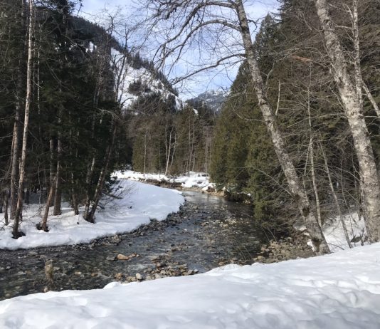 What We’re Reading: Grocery Boom, HSR Act, and Extended Moratorium