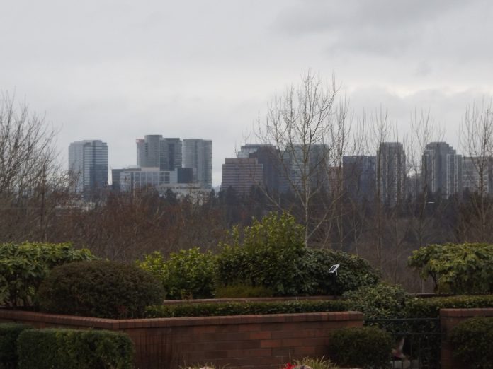 A row of skyscrapers behind a row of trees at a Bellevue park.