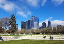 2023 General Election Endorsements Parkgoes sit on the ampitheater at Bellevue's Downtown park with skyscrapers in the background.