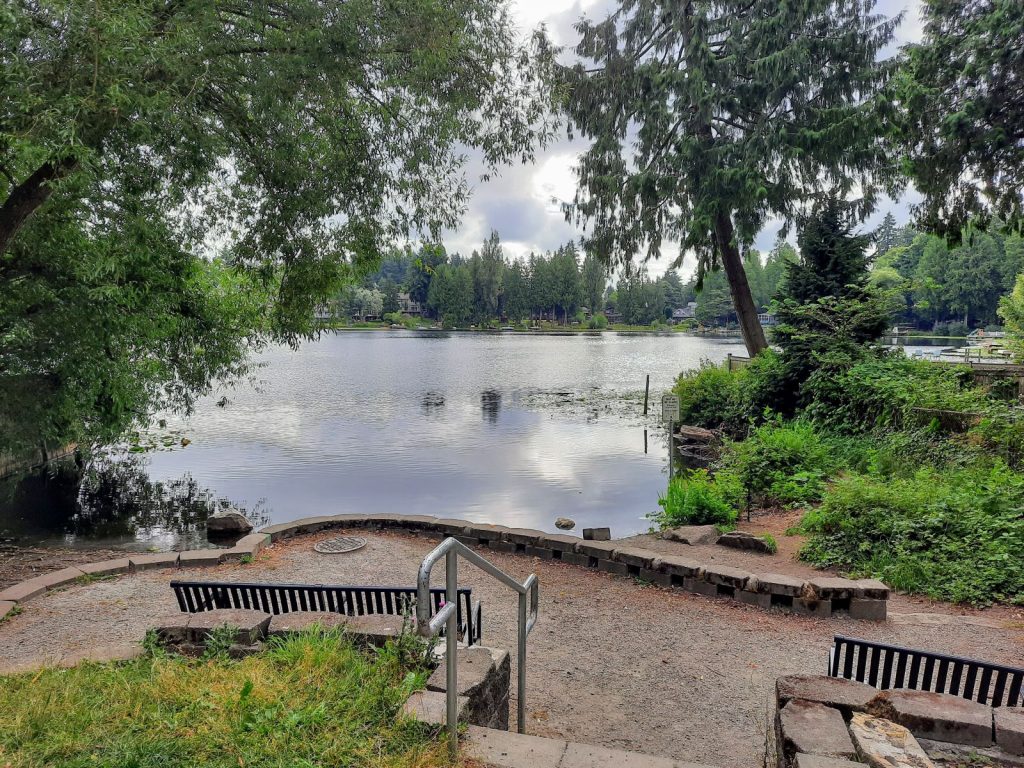 A bench under tree canopy at the end of Haller Lake with few buildings in sight.