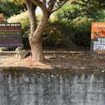 image-6-wallingford-yard-signs