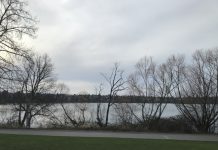 What We’re Reading: Northgate Link Opening, Hoboken’s Vision, and TDM