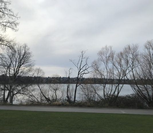 What We’re Reading: Zoner-in-Chief, Back on Track, and 20% Reduction