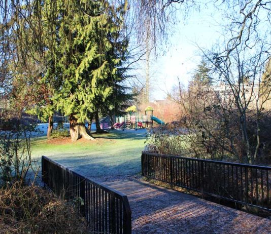 Shoreline Sends Parks Expansion to April 27th Ballot