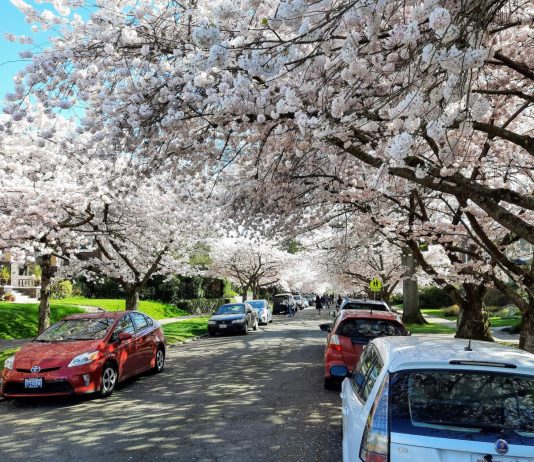 Let’s Try to be Optimistic for Once, Seattle