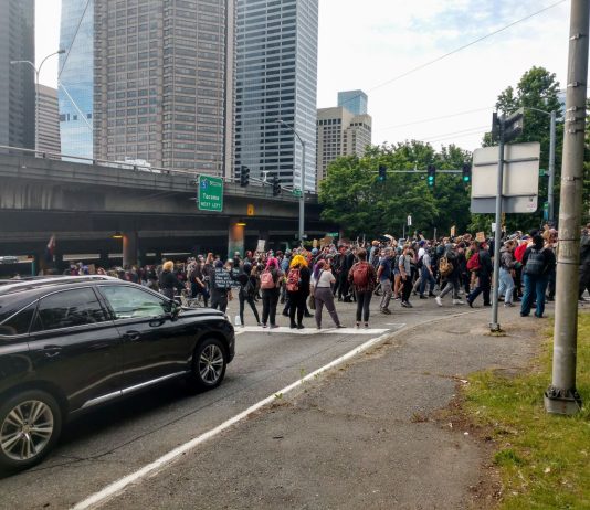 Conservatives Seek Right to Kill Protesters with Their Cars